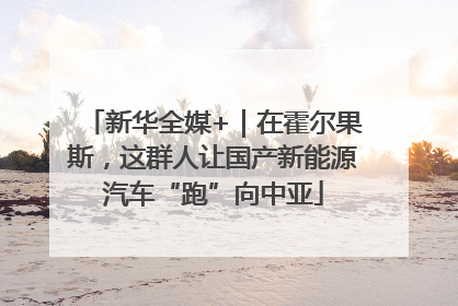 新华全媒+｜在霍尔果斯，这群人让国产新能源汽车“跑”向中亚