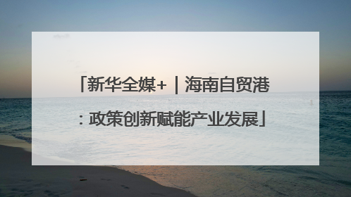 新华全媒+｜海南自贸港：政策创新赋能产业发展