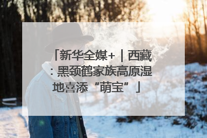 新华全媒+｜西藏：黑颈鹤家族高原湿地喜添“萌宝”
