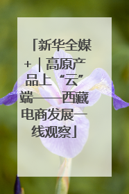 新华全媒+｜高原产品上“云”端——西藏电商发展一线观察