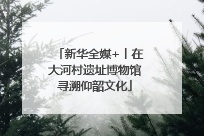新华全媒+丨在大河村遗址博物馆寻溯仰韶文化