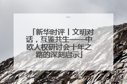 新华时评丨文明对话，互鉴共生——中欧人权研讨会十年之路的深刻启示