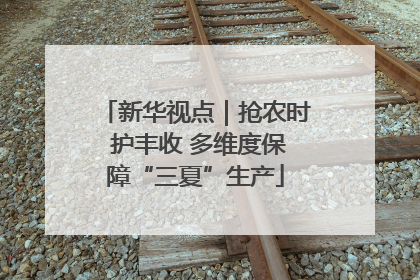 新华视点｜抢农时 护丰收 多维度保障“三夏”生产