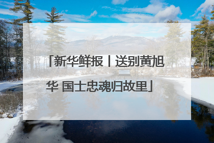 新华鲜报丨送别黄旭华 国士忠魂归故里