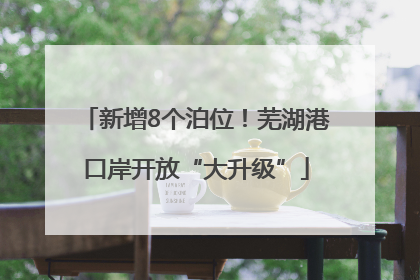 新增8个泊位！芜湖港口岸开放“大升级”