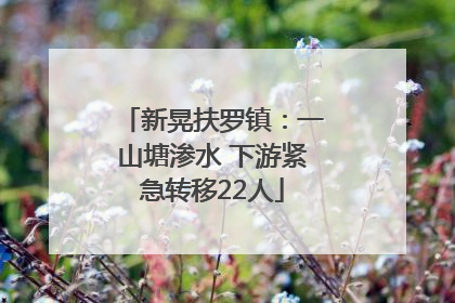 新晃扶罗镇：一山塘渗水 下游紧急转移22人