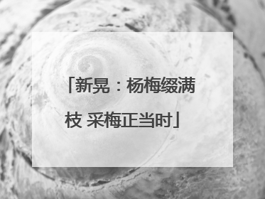 新晃：杨梅缀满枝 采梅正当时