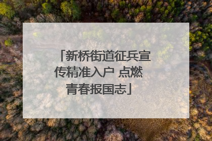 新桥街道征兵宣传精准入户 点燃青春报国志