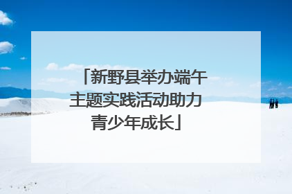 新野县举办端午主题实践活动助力青少年成长