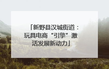 新野县汉城街道：玩具电商“引擎”激活发展新动力