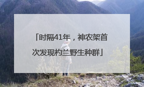 时隔41年，神农架首次发现杓兰野生种群