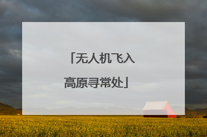 无人机飞入高原寻常处