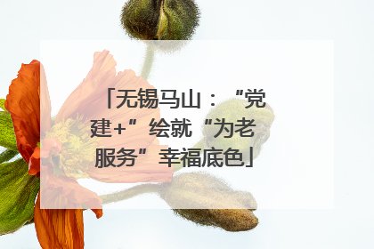 无锡马山：“党建+”绘就“为老服务”幸福底色