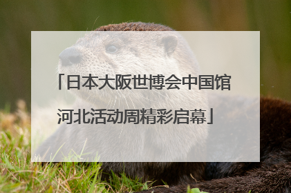 日本大阪世博会中国馆河北活动周精彩启幕
