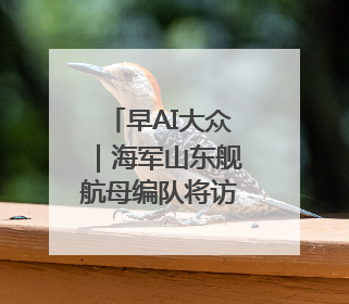 早AI大众｜海军山东舰航母编队将访港；贵州榕江已撤离转移群众超4万人