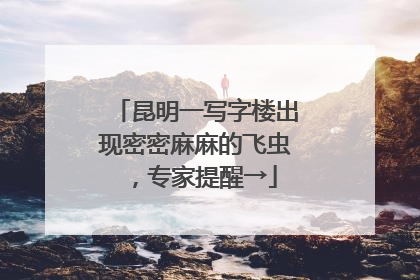 昆明一写字楼出现密密麻麻的飞虫，专家提醒→