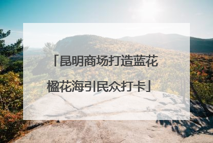 昆明商场打造蓝花楹花海引民众打卡