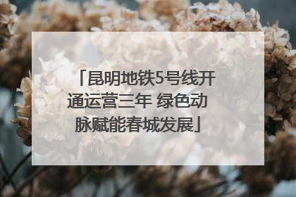昆明地铁5号线开通运营三年 绿色动脉赋能春城发展