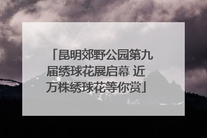 昆明郊野公园第九届绣球花展启幕 近万株绣球花等你赏