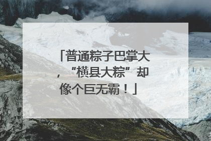 普通粽子巴掌大，“横县大粽”却像个巨无霸！