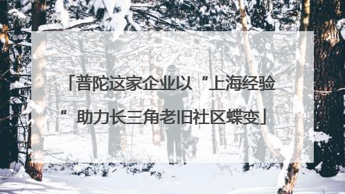 普陀这家企业以“上海经验”助力长三角老旧社区蝶变