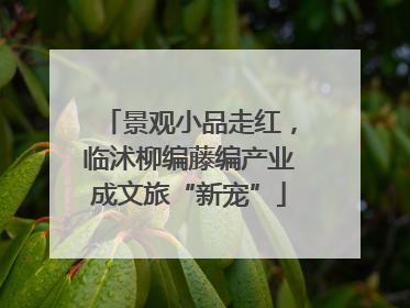 景观小品走红，临沭柳编藤编产业成文旅“新宠”
