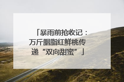 暴雨前抢收记：万斤胭脂红鲜桃传递“双向甜蜜”