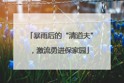 暴雨后的“清道夫”，激流勇进保家园