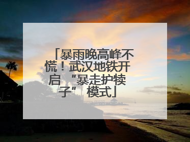 暴雨晚高峰不慌！武汉地铁开启 “暴走护犊子” 模式