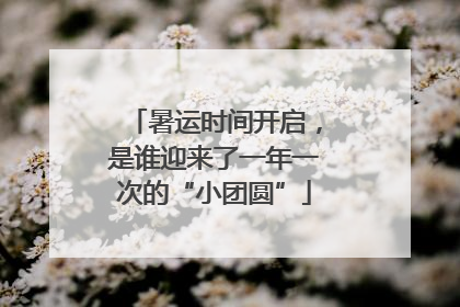 暑运时间开启，是谁迎来了一年一次的“小团圆”