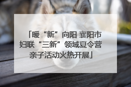 暖“新”向阳 襄阳市妇联“三新”领域夏令营亲子活动火热开展