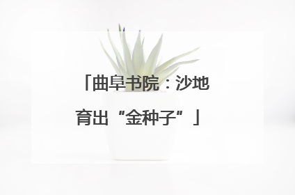 曲阜书院：沙地育出“金种子”