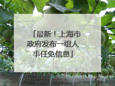 最新！上海市政府发布一组人事任免信息