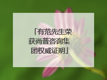 有范先生荣获尚普咨询集团权威证明