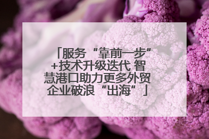 服务“靠前一步”+技术升级迭代 智慧港口助力更多外贸企业破浪“出海”