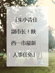 朱小青任副市长！陕西一市最新人事任免