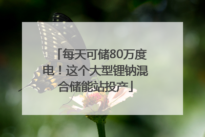 每天可储80万度电！这个大型锂钠混合储能站投产
