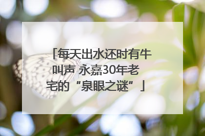 每天出水还时有牛叫声 永嘉30年老宅的“泉眼之谜”