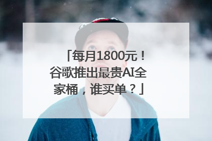 每月1800元！谷歌推出最贵AI全家桶，谁买单？