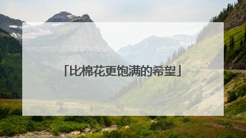 比棉花更饱满的希望