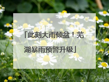 此刻大雨倾盆！芜湖暴雨预警升级