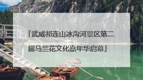 武威祁连山冰沟河景区第二届马兰花文化嘉年华启幕