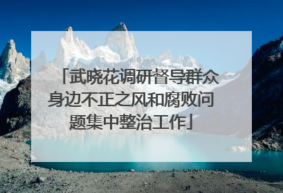 武晓花调研督导群众身边不正之风和腐败问题集中整治工作