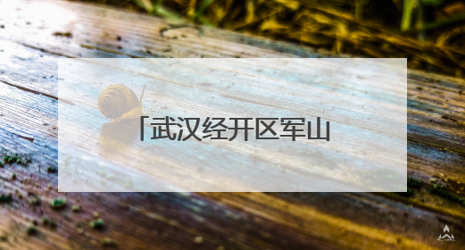 武汉经开区军山街道开展节前环境综合大整治行动