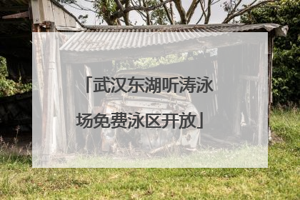 武汉东湖听涛泳场免费泳区开放
