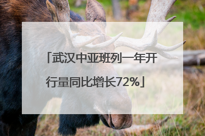 武汉中亚班列一年开行量同比增长72%
