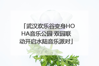 武汉欢乐谷变身HOHA音乐公园 双园联动开启水陆音乐派对