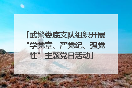 武警娄底支队组织开展“学党章、严党纪、强党性”主题党日活动