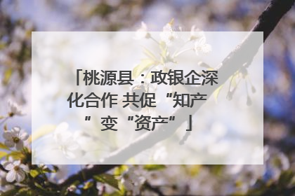 桃源县：政银企深化合作 共促“知产”变“资产”