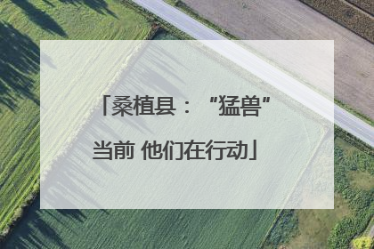 桑植县：“猛兽”当前 他们在行动
